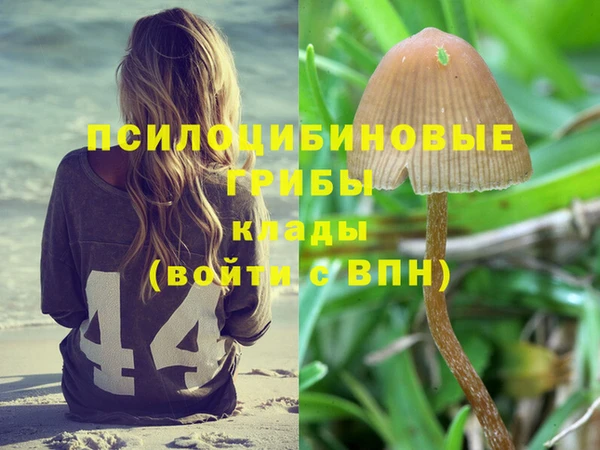 ПСИЛОЦИБИНОВЫЕ ГРИБЫ Алексеевка