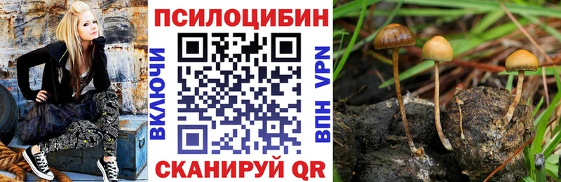 Галлюциногенные грибы мухоморы  Сертолово 
